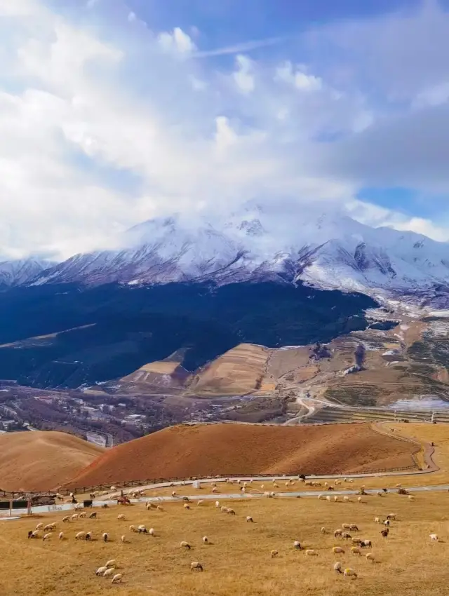 Qilian Mountain Grassland