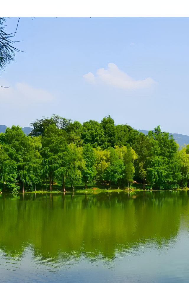 璧山觀音塘濕地公園|重慶的小桂林 璧山觀音塘濕地公園|重慶的小桂林