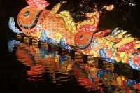 除了人多，美的不似凡間