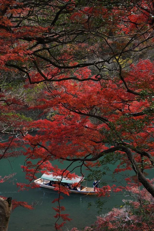岚山 | 以春天的櫻花和秋天的楓葉而聞名