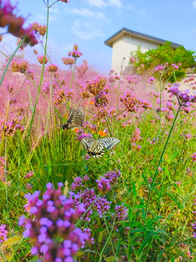 ความร้อนแรงของโลกมนุษย์ มันคุ้มค่าที่นี่