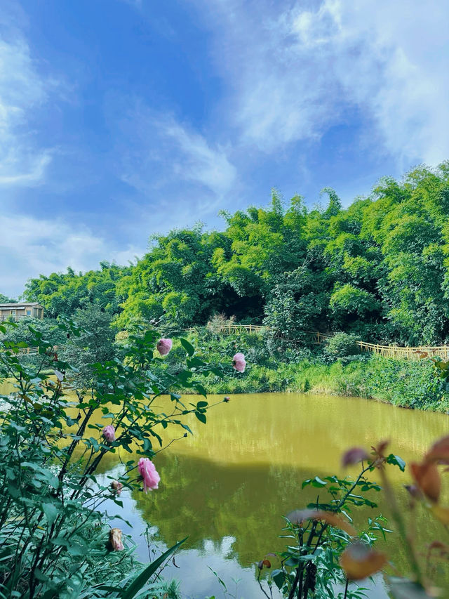 你想看什麼樣的風景，我們一起來感受大自然吧！