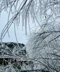 九宮山初雪|武漢周邊不容錯過的霧凇美景
