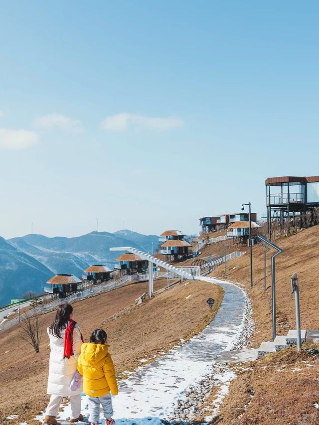 不是東北去不起，而是宜昌更有性價比