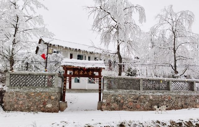 一帶一路•美麗鄉村，通渭馬營邀你來賞雪景