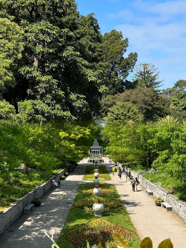 墨爾本皇家植物園