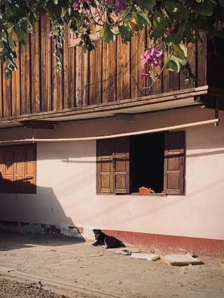 ลาว | ประสบการณ์ใหม่ของเมืองเล็กๆ ที่ไม่มีนักท่องเที่ยว ข้อมูลที่เป็นประโยชน์