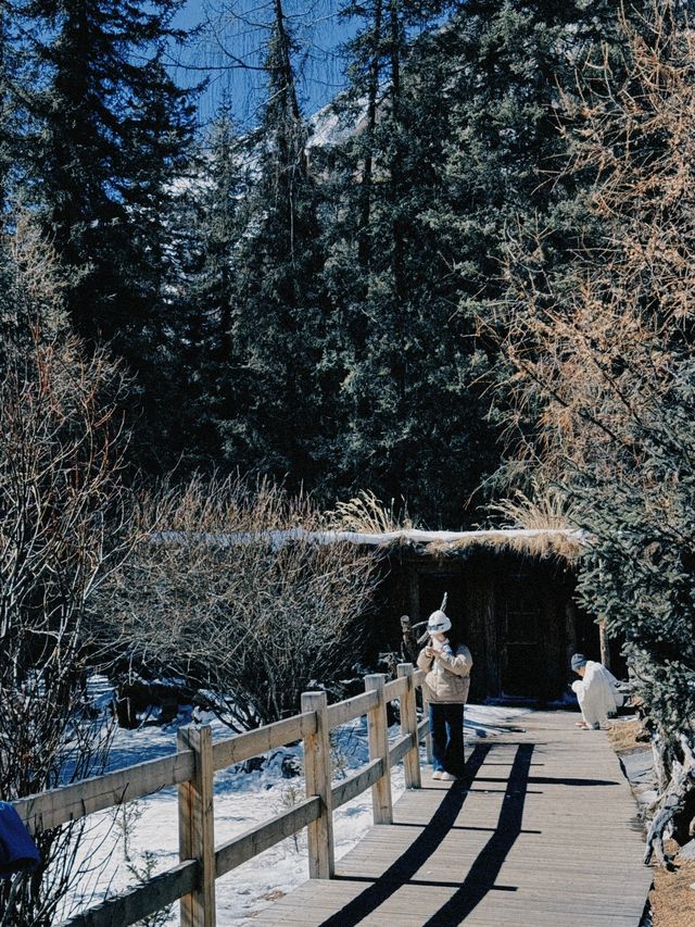 四姑娘山剛回來不勸退！見山見雪見自己