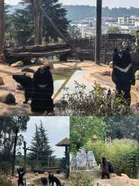 雲南野生動物園真的太離譜了含避坑指南