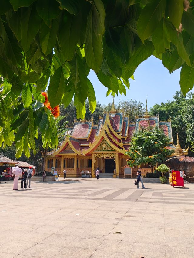 雲南西雙版納勐泐大佛寺丨釋迦牟尼佛像高49米，大金塔金壁輝煌