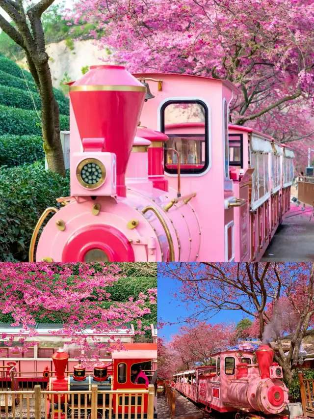 Yongfu Taipin Cherry Blossom Tea Garden