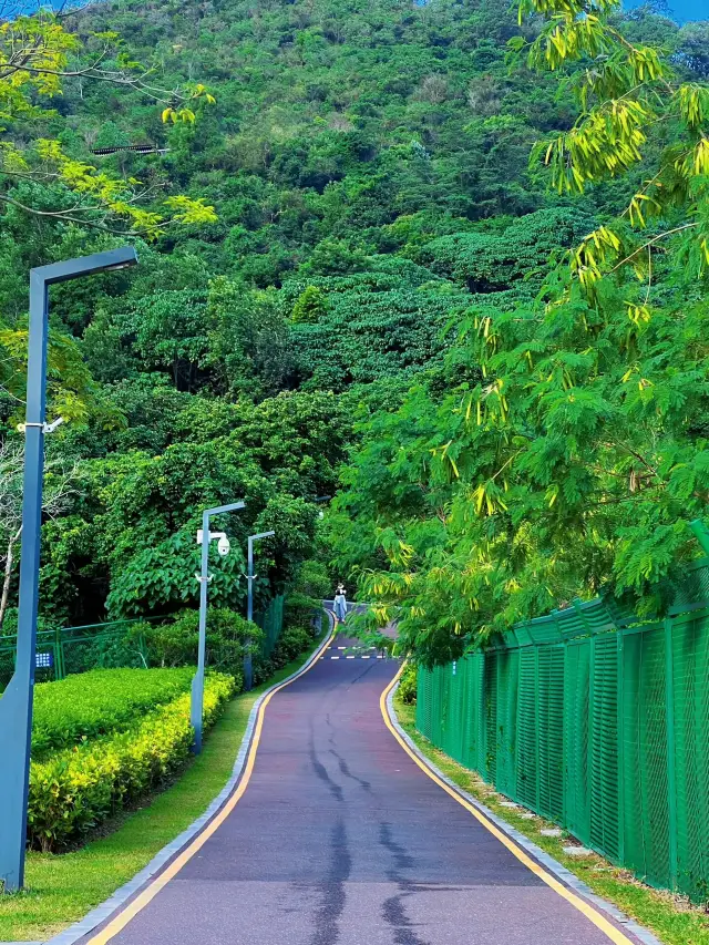 Shenzhen Taojinshan | The 'Thousand Island Lake' in the Greenway