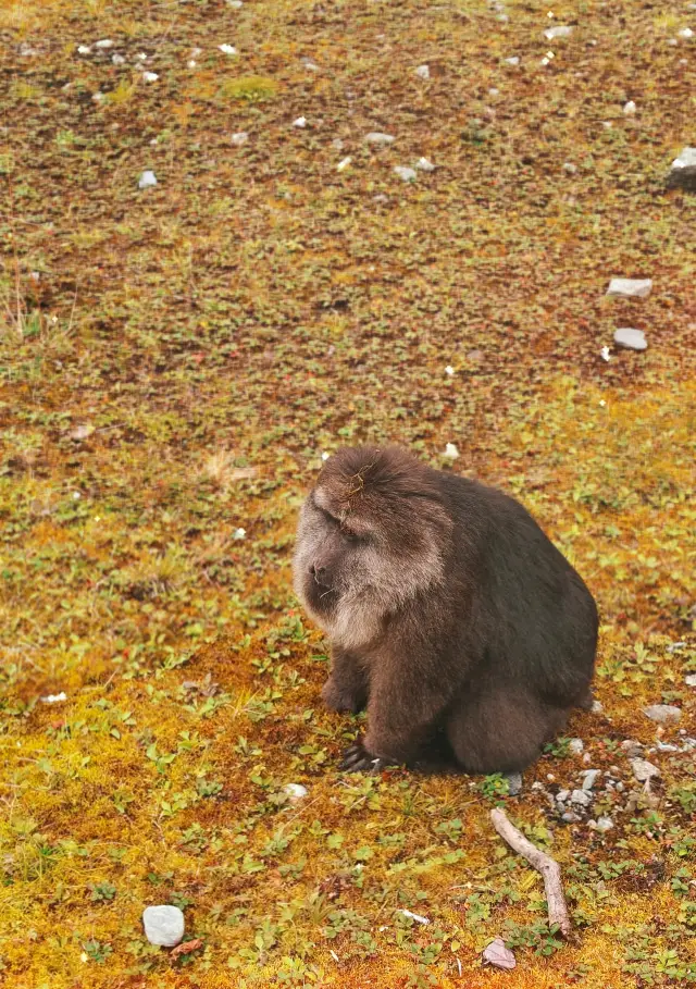 二郎山ラッパ川一日旅行