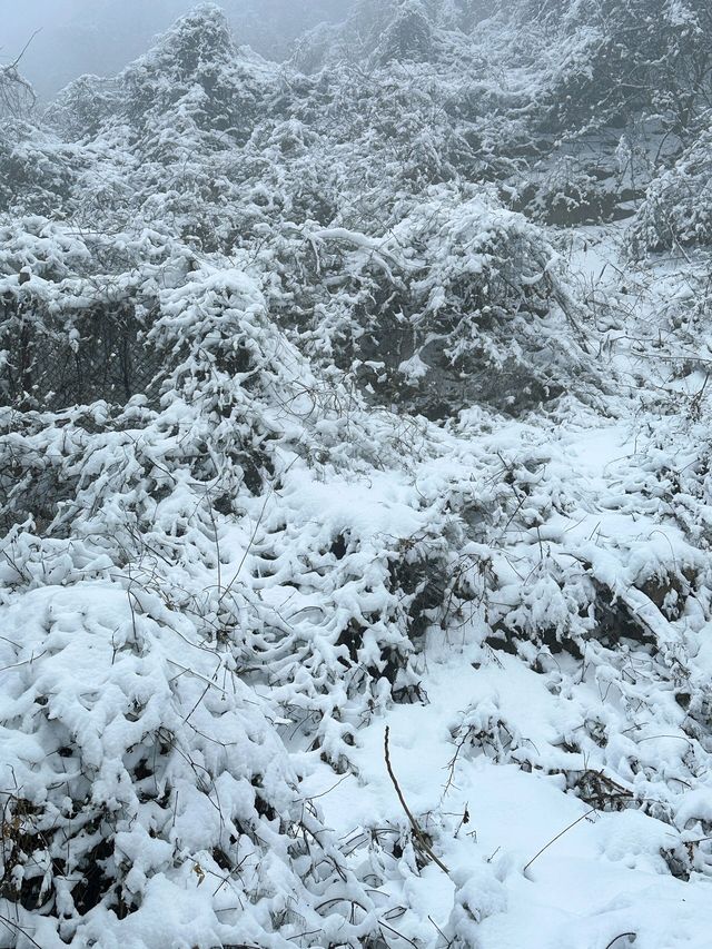 公主請查收｜河南雲台山保姆級攻略