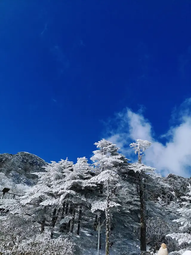 Lazy Man's Guide to Dali Cangshan Mountain|Super Detailed