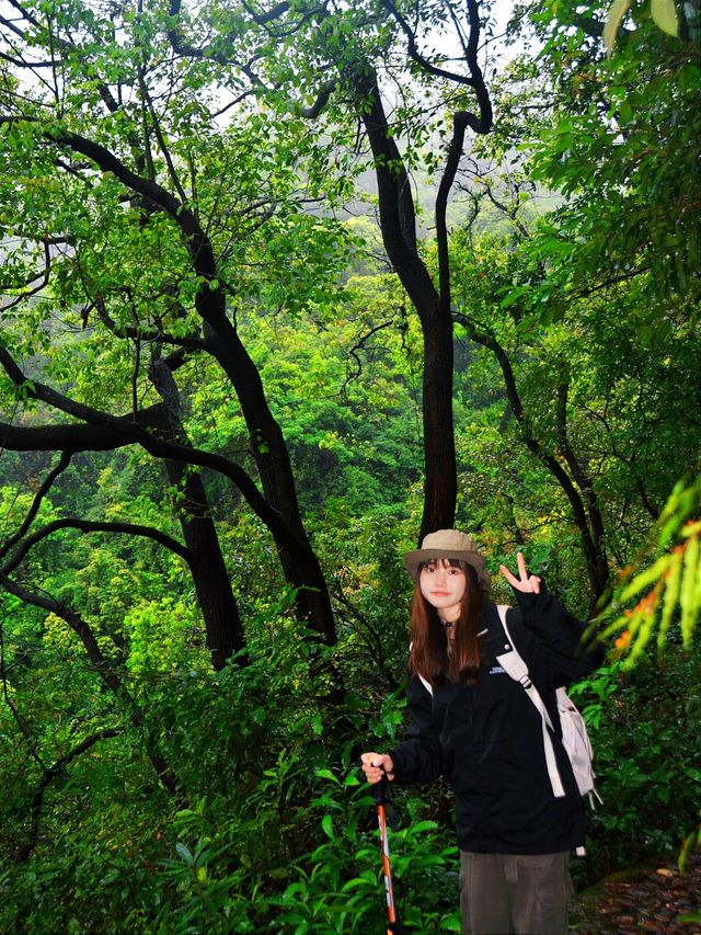 雨天徒步 ｜去山里聽雨 看迷霧森林