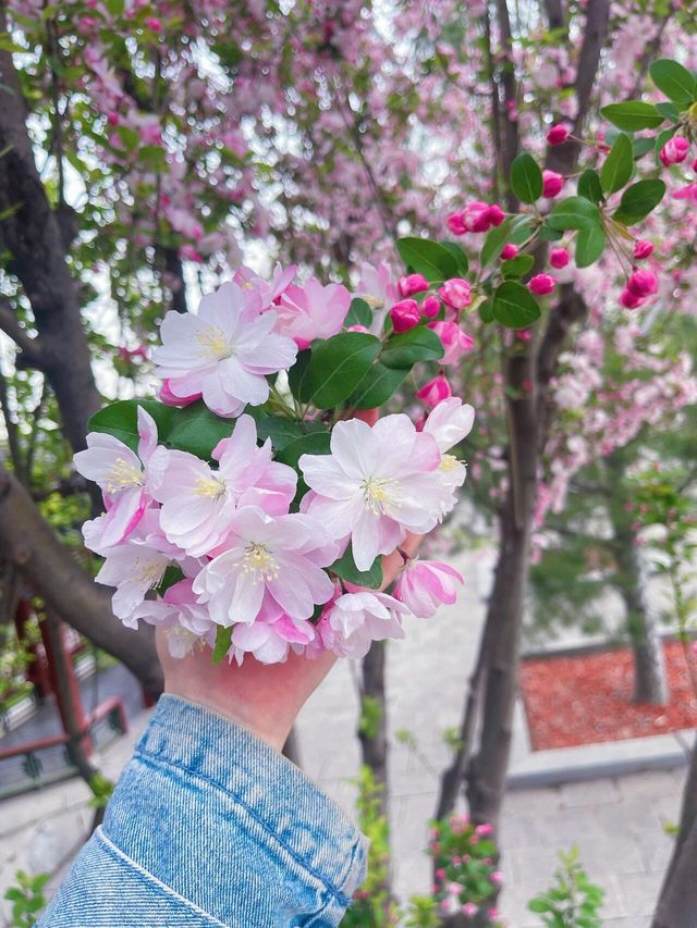 晉祠探秘，古韻今風一日遊！Hey朋友們！上週末我去了趟