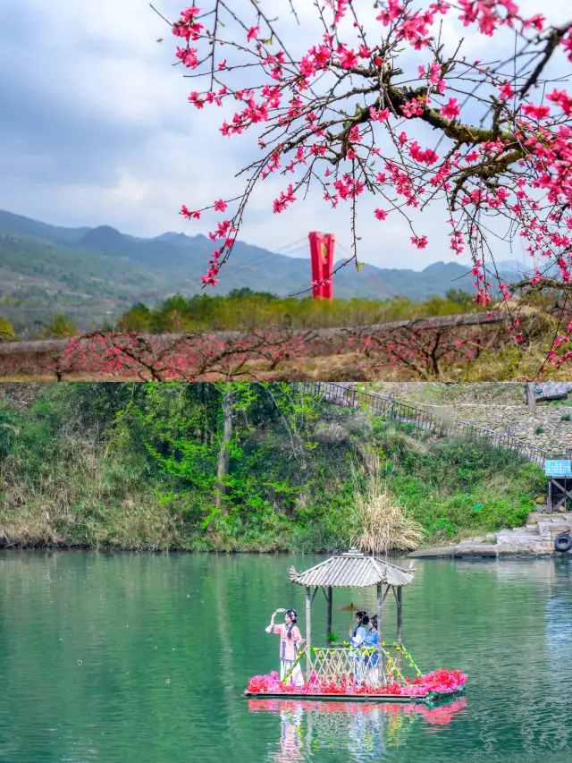 The place here in Guangdong is so beautiful!! I've stumbled into a peach blossom fairyland!