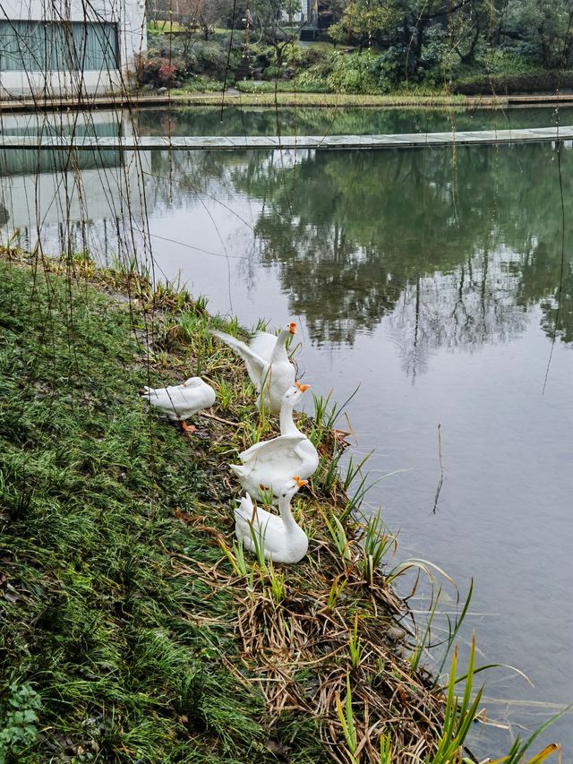 杭州必玩第一站：中國絲綢博物館