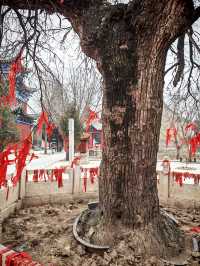 相傳清代順治皇帝出家之地：白雲禪寺