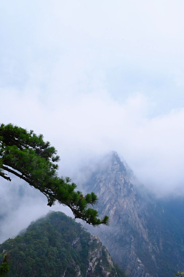 九江庐山｜來見庐山真面目