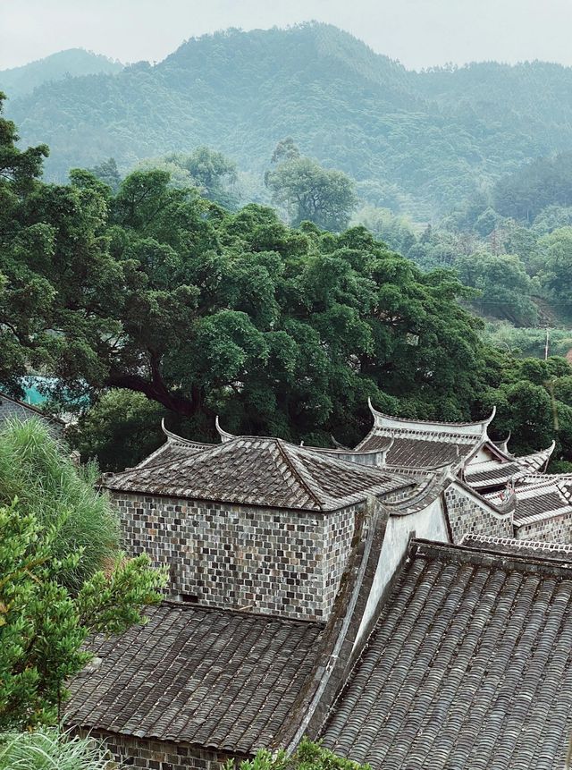 探秘福建霞浦！畲族半月里古村落，一步一景，錯過可惜！