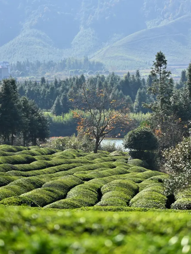 The Treasure Town - Fuliang County, a breathtakingly beautiful travel secret!