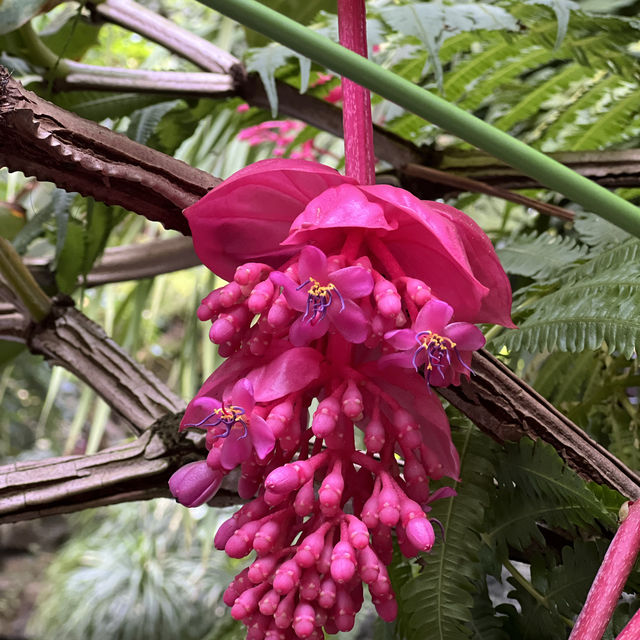 Indoor Botanical Garden in Taiyuan 