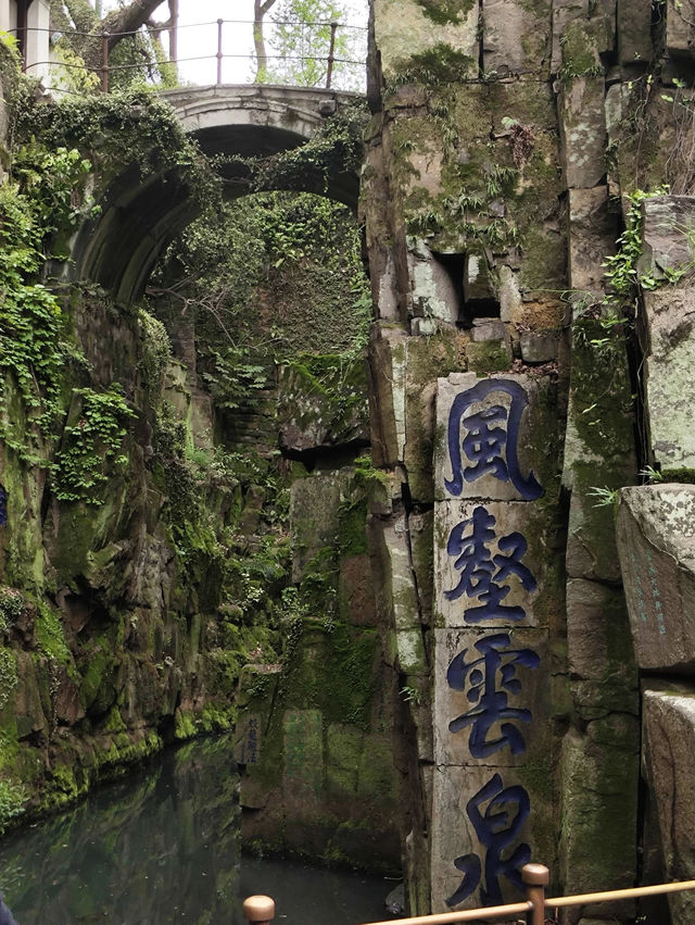 不捲杭州了，虎丘後山也是綠野仙蹤和茶園蘇州