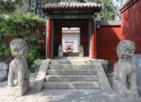 正定古城擁有著名的四座古塔，均始建於隋唐，江河變遷，無言屹立，成為漫長歲月的見證