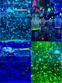 沈陽海底世界 水族館 海藍星夢幻城
