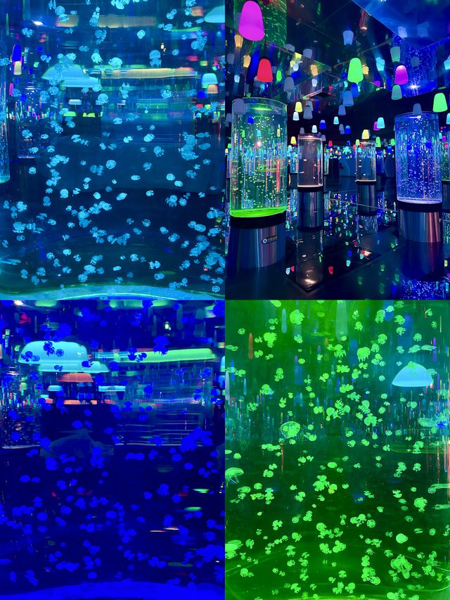 沈陽海底世界 水族館 海藍星夢幻城