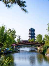 皂河龍運城——千年古韻，再現今日