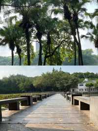 江門東湖公園