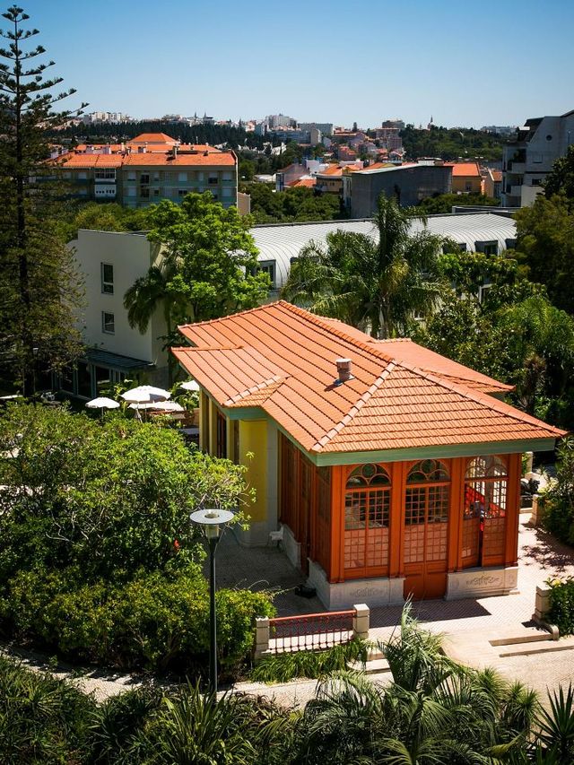 🏰✨ Lisbon's Luxurious Pestana Palace: A Royal Retreat! ✨🏰
