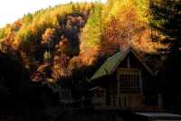 烏蘭察布市興和縣蘇木山林場
