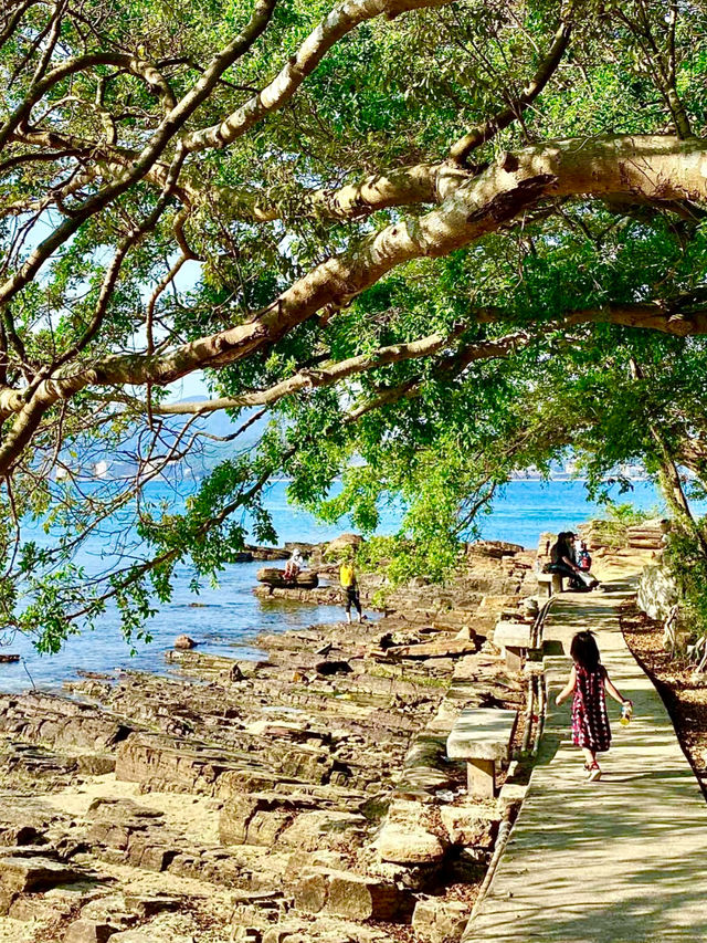 絕美海岸我來了