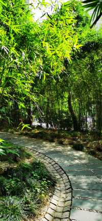 長壽公園：普陀人家門口的“清涼世界”
