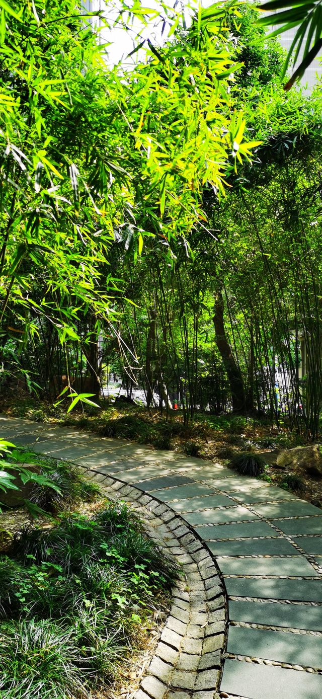 長壽公園：普陀人家門口的“清涼世界”