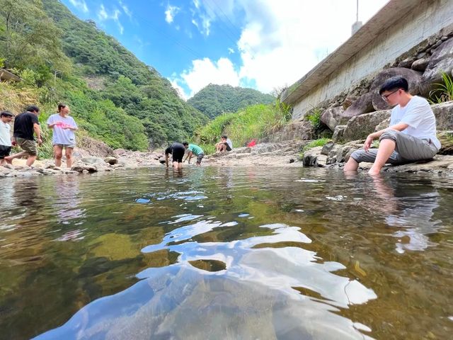 天然氧吧，避暑納涼：福安棕樹山