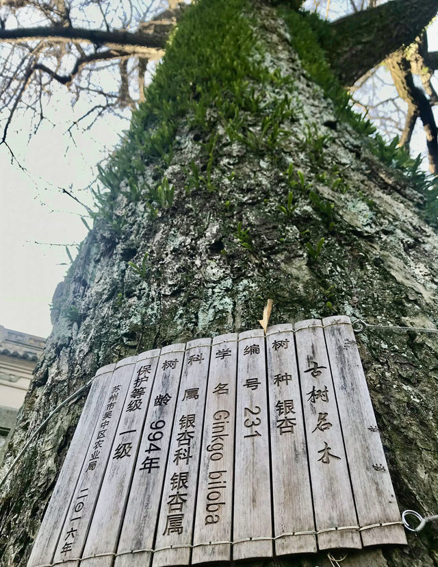 吳中勝地“穹窿山”