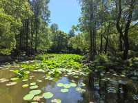 城市公園圖鑑：上海人民公園