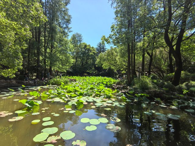 城市公園圖鑑：上海人民公園