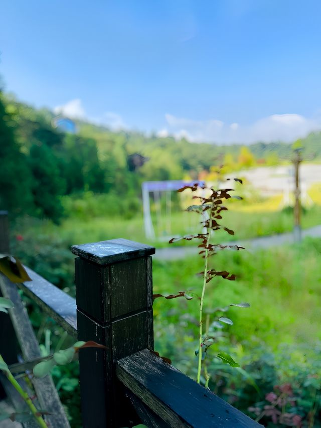 銅鑼壩國家森林公園