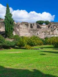 🌟 Discovering Italy's Treasures: Art, History, & Culinary Delights 🏛️🎨🍝