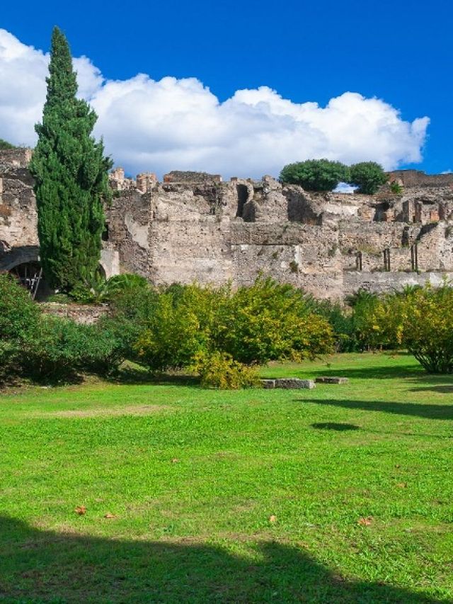 🌟 Discovering Italy's Treasures: Art, History, & Culinary Delights 🏛️🎨🍝