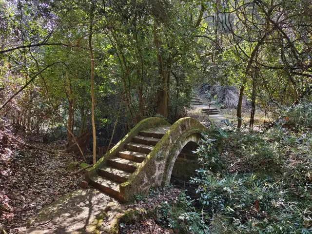 Chuxiong Zixi Mountain Scenic Area