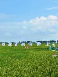 沈陽｜稻夢空間攻略