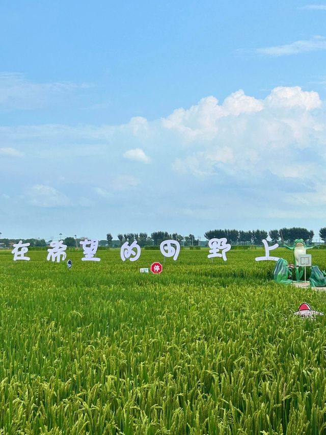 沈陽｜稻夢空間攻略