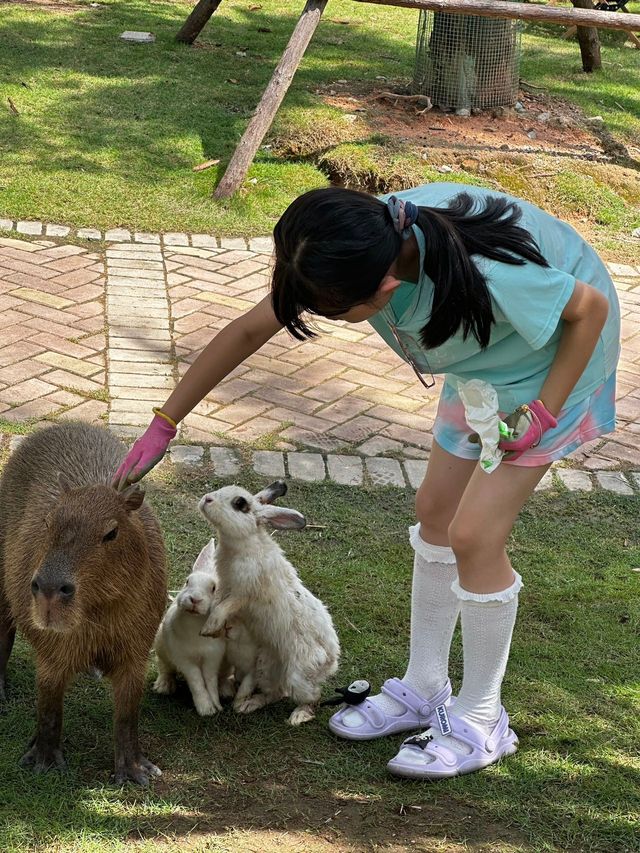 長假去哪兒玩？當然是來一場說走就走的親子奇妙旅行啦！今年。